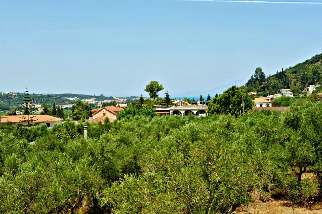 Studios Dimitris Giatras Zante Extérieur photo